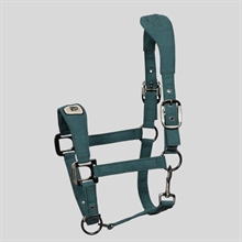 Cavallo CavalPawewel Halfter
