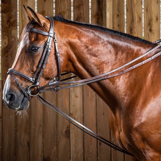 Dyon Gleitende Anhängevorrichtung Hunter 