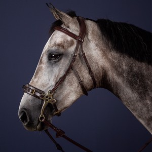 Dyon Hackamore Abfluss 