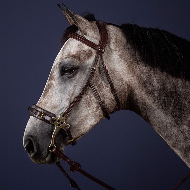 Dyon Hackamore Abfluss 