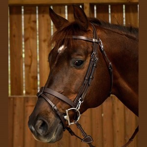 Dyon trensen mit Clip und kombiniert reithalfter
