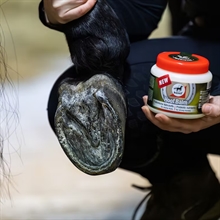 Leovet Hufbalsam Prebiotic
