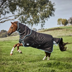 Weatherbeeta Comfitec Ultra Comfi Winterdecken Detach-a-neck 100 Gramm 