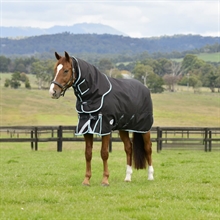 Weatherbeeta Comfitec Ultra Comfi Winterdecke Detach-a-neck 220 gram 