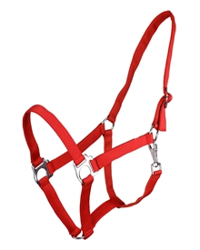 Leuchtendes Rot
