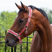 QHP Weihnachts-Halfter