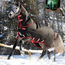 Horseware Rambo 1680D Plus Vari-Layer 450 gram Black/Red Outlet