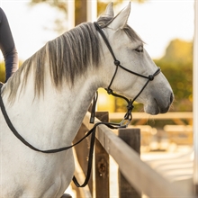 Seilhalfter Leder Liberta