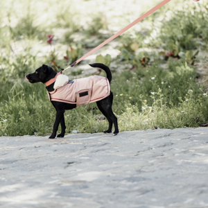 Kentucky Hundedecke wasserdicht Coral