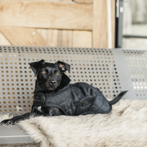Kentucky Hundedecke Schwarz 