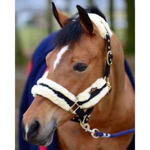 Kentucky Nylonhalfter mit Lammfell