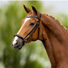 BR trensen Hereford 