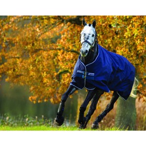 Amigo Bravo Pony 12 Medium 250 Gramm Übergangsdecke