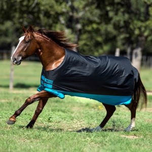 Horseware regendecken Mio 0 Gramm