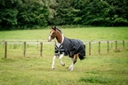 Horseware Amigo Bravo 12 Original Lite 0 Gramm