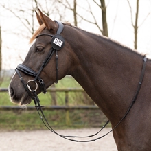 QHP Veranstaltungsnummer Modeste Runde 