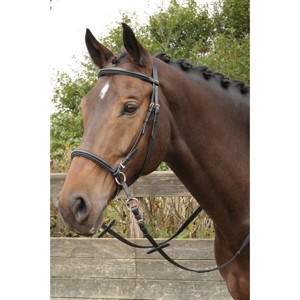 Harry's Horse Gebisslos trensen