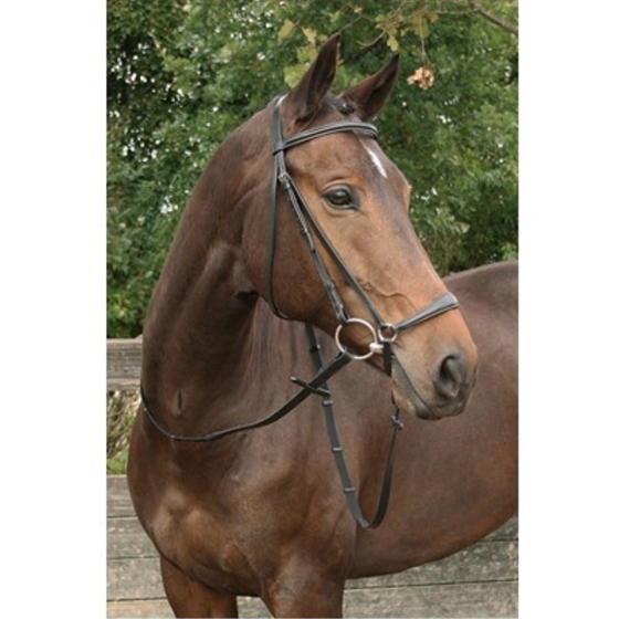 Harry\'s Horse Trensen mit Hannoveraner reithalfter