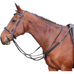 Harry's Horse Festmacherleine mit Gummizug und Martingal