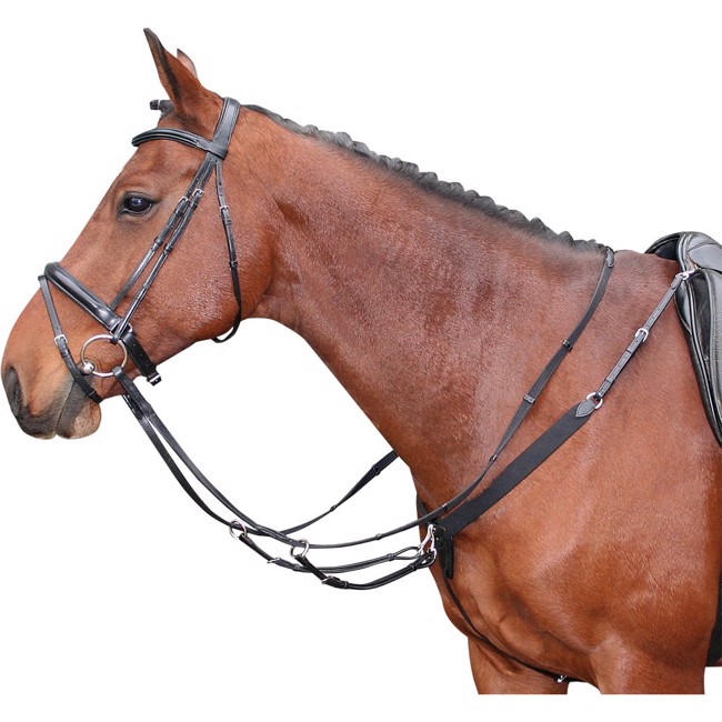 Harry\'s Horse Festmacherleine mit Gummizug und Martingal
