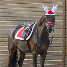 QHP Weihnachtsschabracke