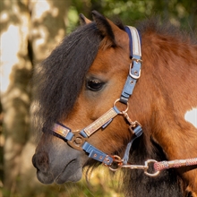 Harry's Horse Mini Halfter Diva Mauvewood