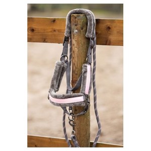 Harry's Horse Halfter mit Abschleppseil Just Ride
