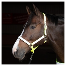Harry's Horse halfter