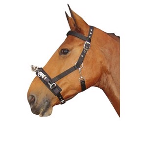 Harry's Horse Langlebigkeit capsun 