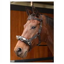 Harry's Horse Langlebigkeit capsun 