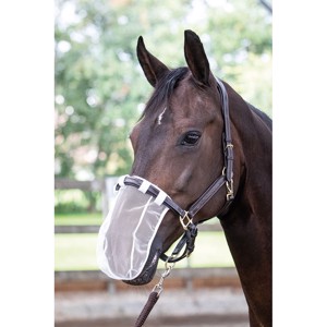 Harry's Horse Nasenbrille