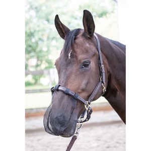 Harry's Horse Nasenbrille