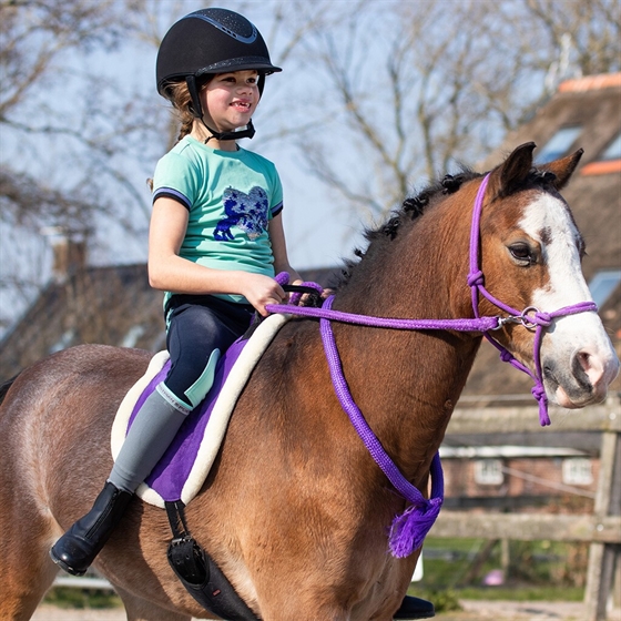 QHP Bareback-Pad