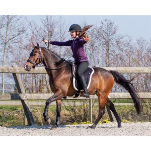 QHP Bareback-Pad