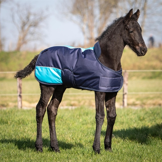 Harry\'s Horse TwoTone 200 Gramm Fohlendecke