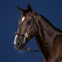 Dyon trensen Hackamore US Kollektion