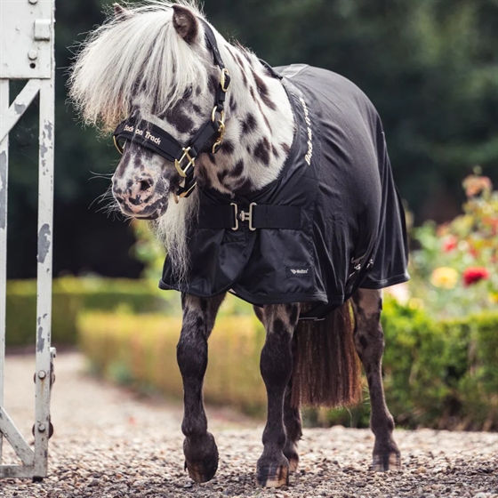 Back on Track Net-Pferdedecken Deluxe Pony
