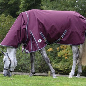Weatherbeeta Comfitec Plus Dynamic II detach-a-neck medium/lite Übergangsreifen 100 Gramm