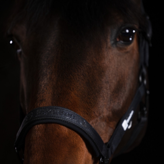 Eskadron Grime Sparkle Dynamic 25