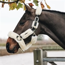 Kentucky Halfter mit Lammfell