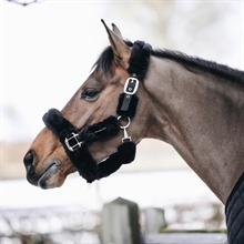 Kentucky Halfter mit Lammfell