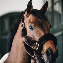 Kentucky Halfter mit Lammfell