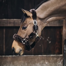 Kentucky Halfter mit Lammfell