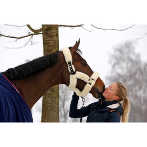 Kentucky Halfter mit Lammfell