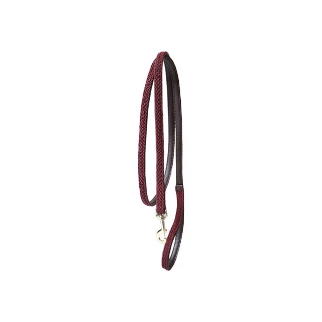 Kentucky Geflochtene Nylon Hundeleine 