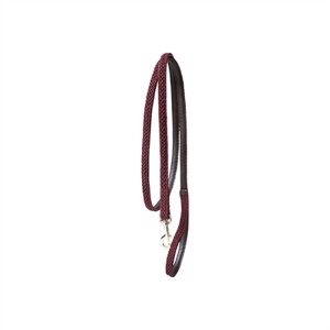 Kentucky Geflochtene Nylon Hundeleine 
