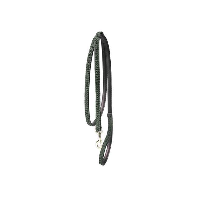 Kentucky Geflochtene Nylon Hundeleine 