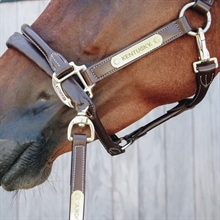 Kentucky Hengstführstrick mit geschützter Kette