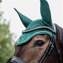 Kentucky hut Wellington Basic Velvet