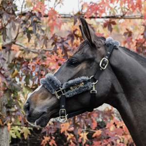 Kentucky Nylonhalfter mit Lammfell